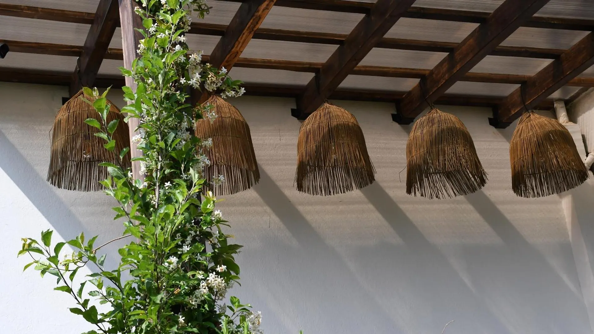 Guesthouse 