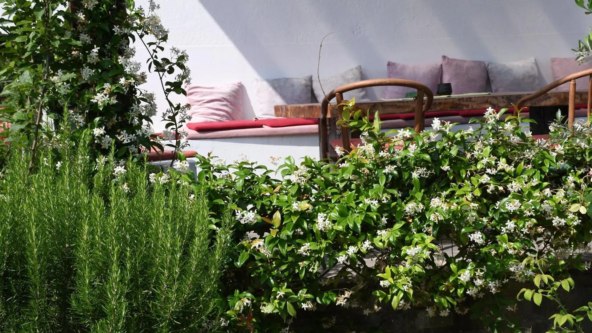 Guesthouse 