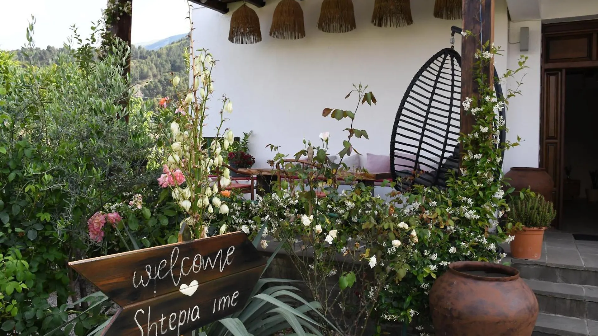 Guesthouse 