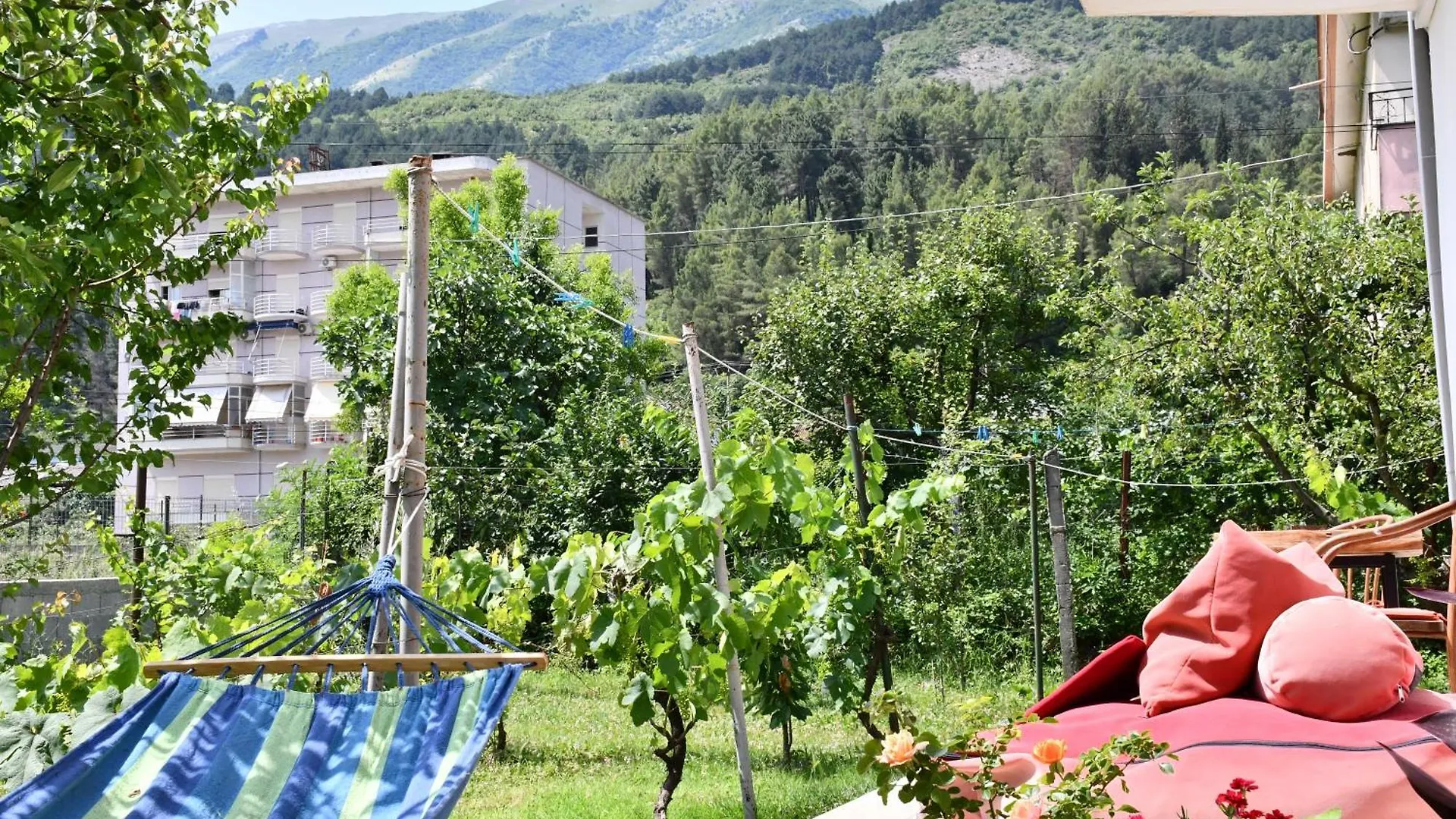 Guesthouse 